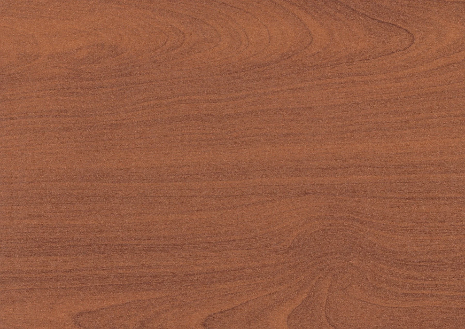 0011_Beech