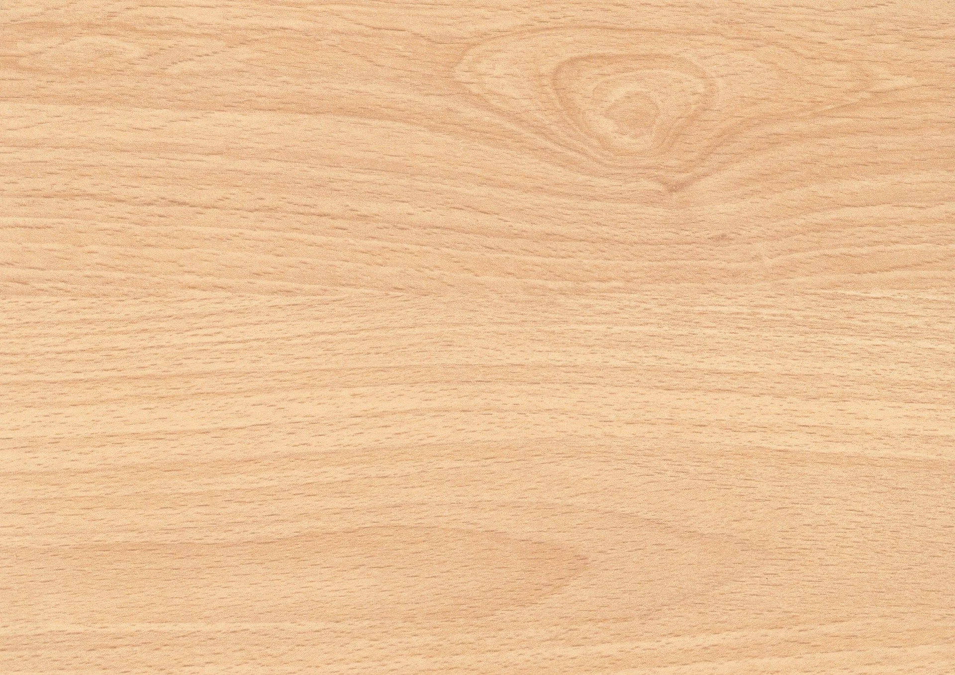 0019_Beech_Light