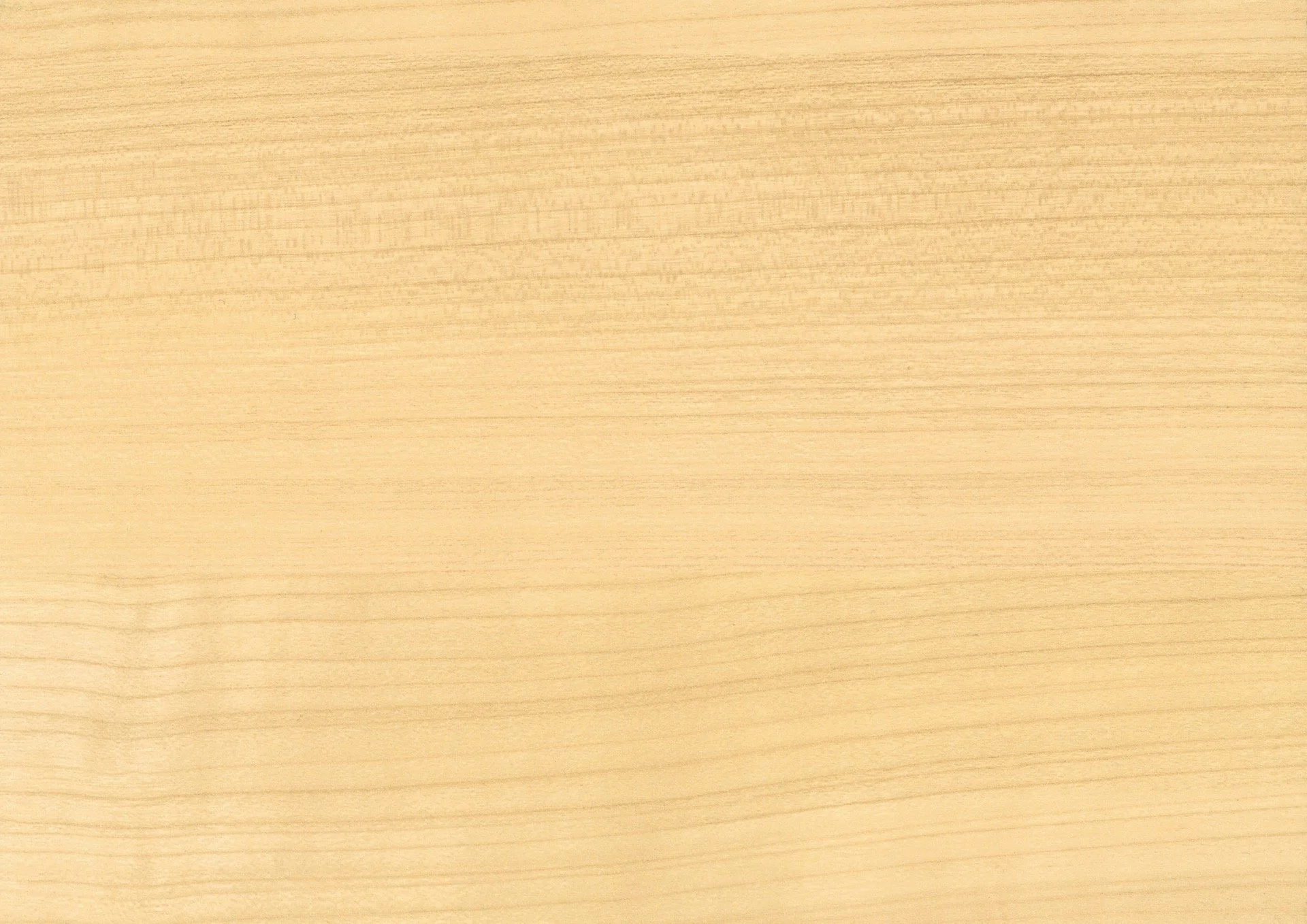0038_Maple