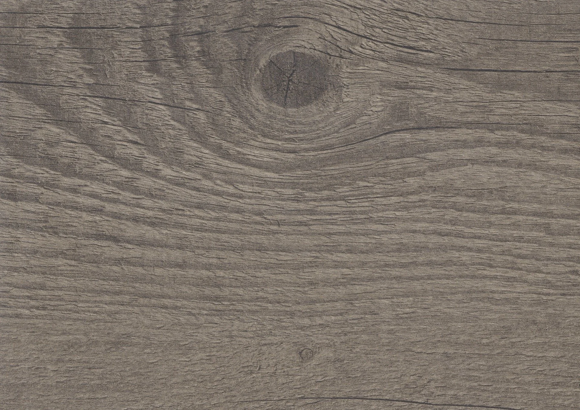 0214_Timber