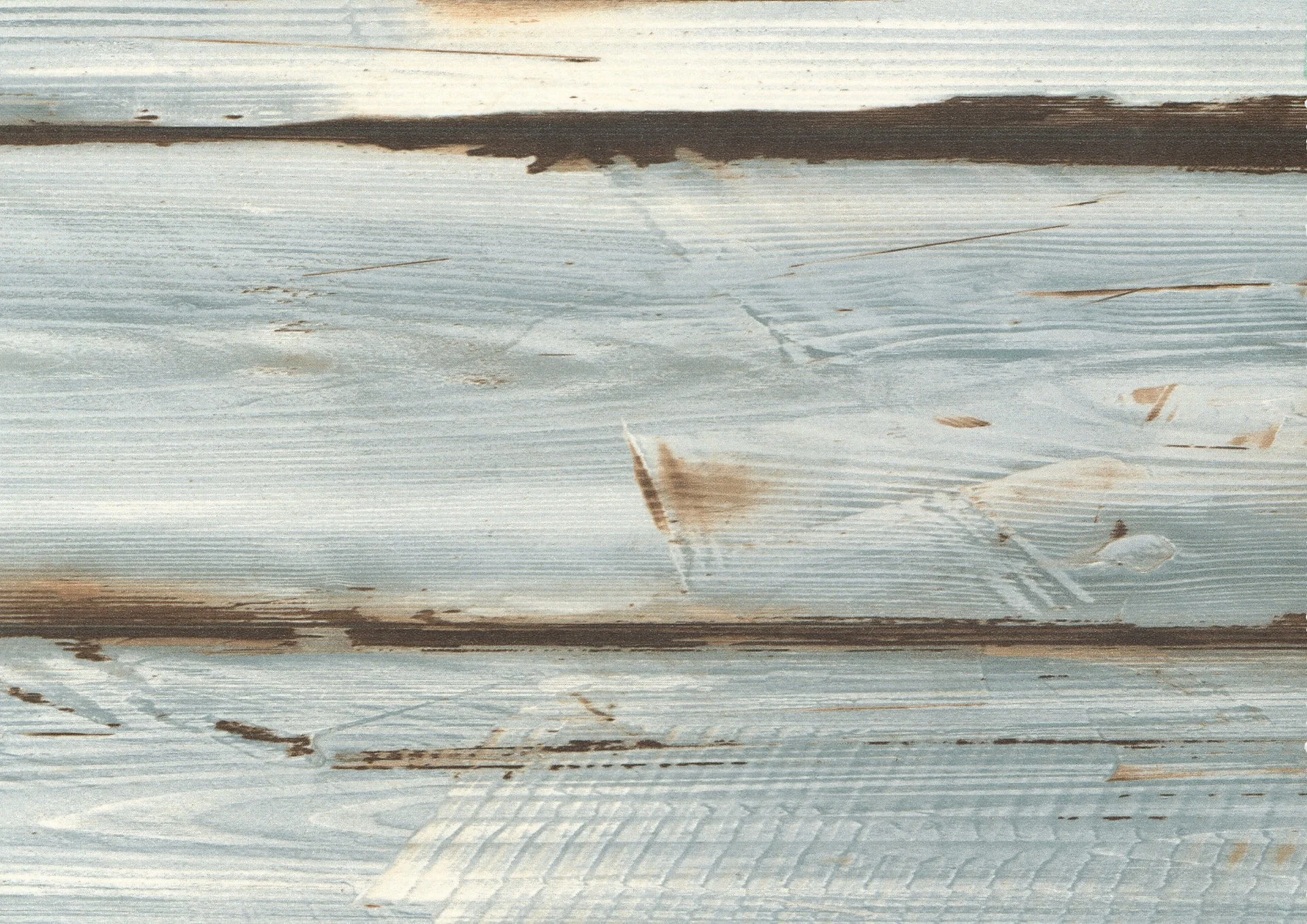 0216_Maritimo_Pine