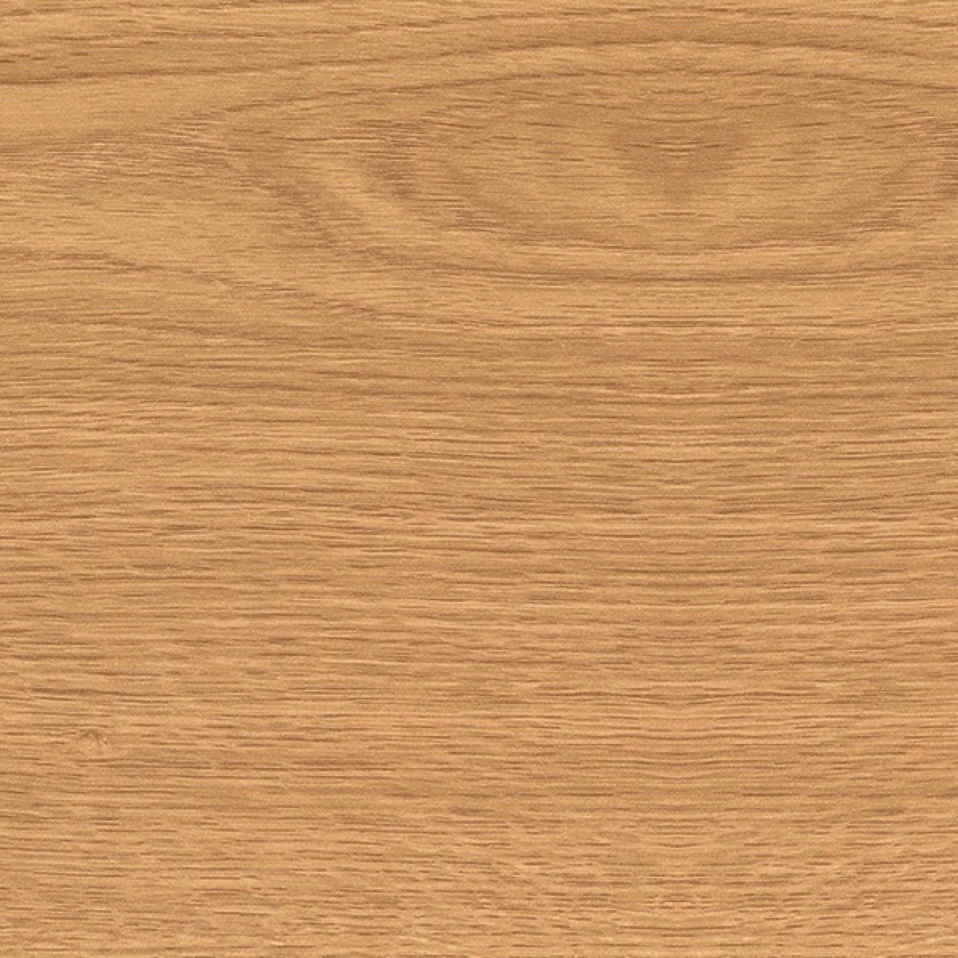 0219_Oak 2