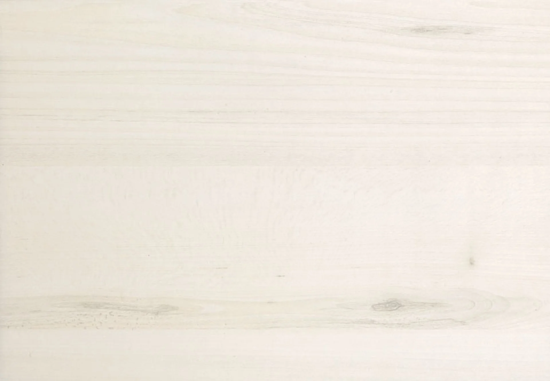 0220_Tilia_Tree